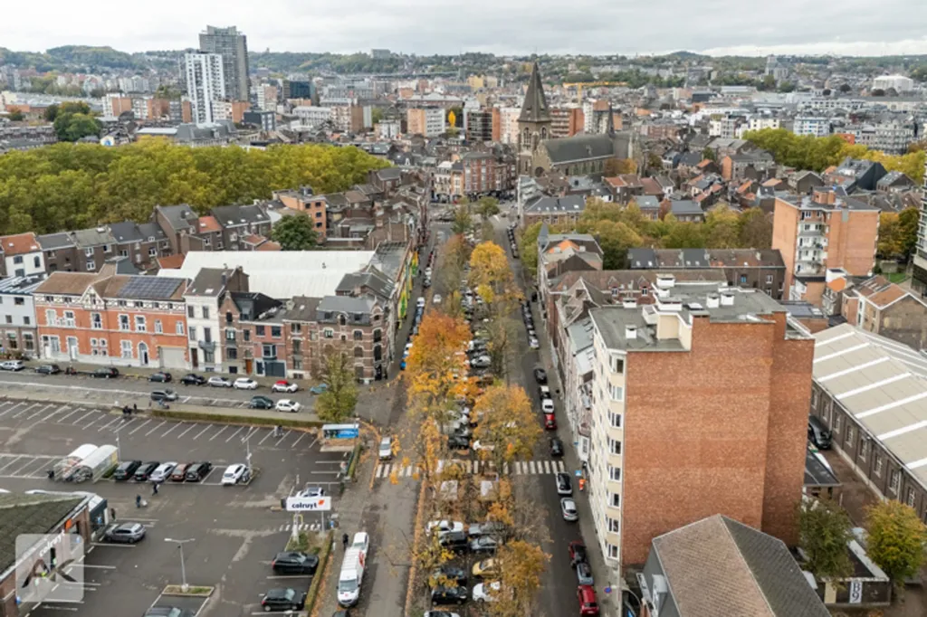 Õhuvaade - Charming Apartment with Terrace in Outremeuse