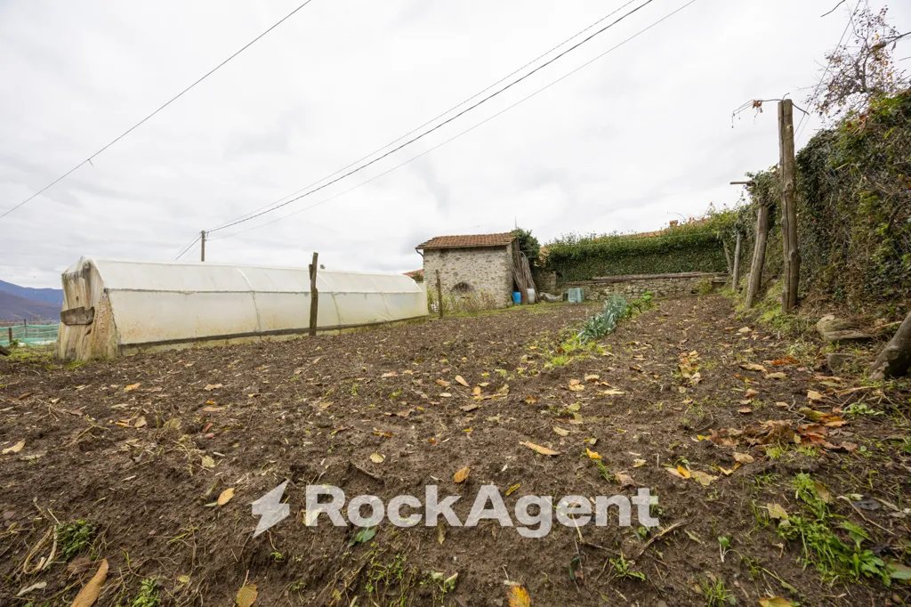 Giardino - Rustic House with Metato in Villa Regnano