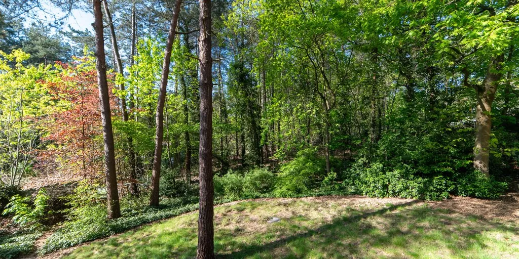 Aed - Villa with Woodland View in Lichtaart