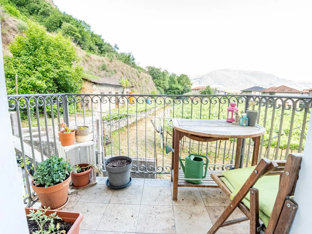 Balcony - Historic Maso with Vineyard in Mezzocorona