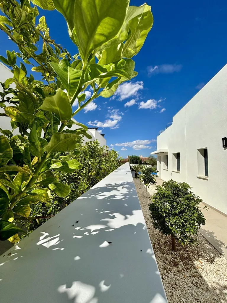 Aed - Chalet with Pool in Benijófar