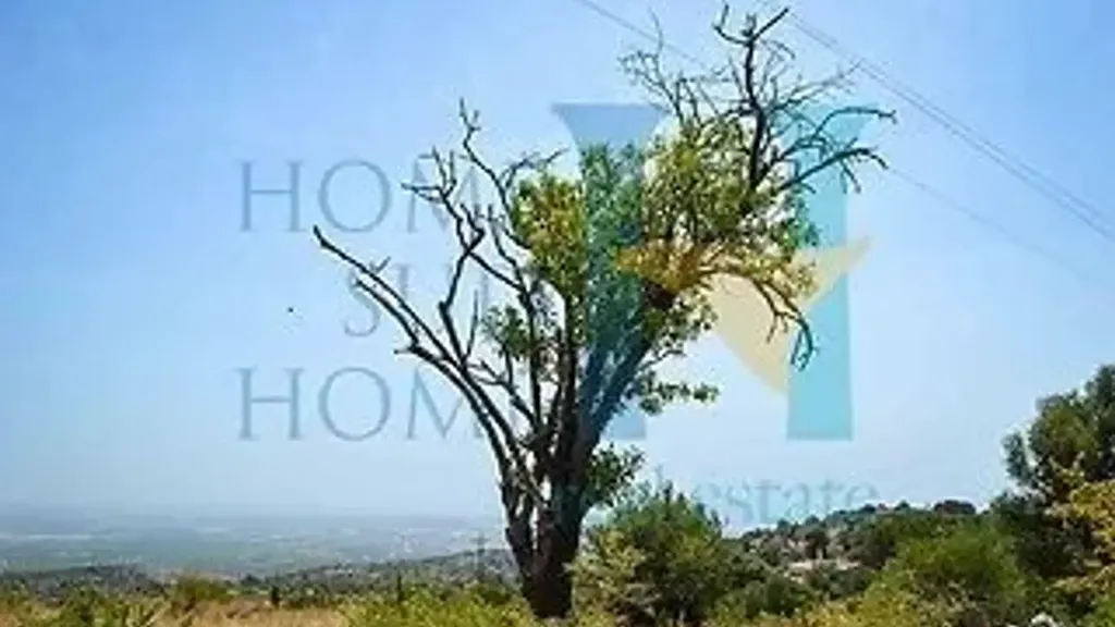 Aed - Buildable Land with Panoramic Potential in Noto