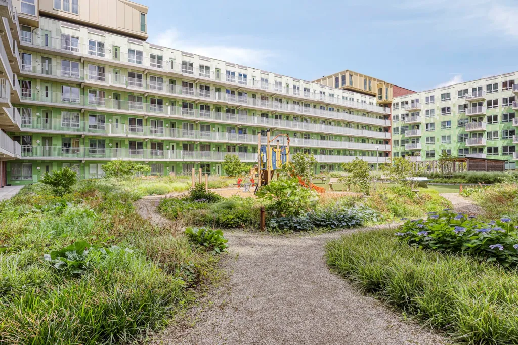 garden