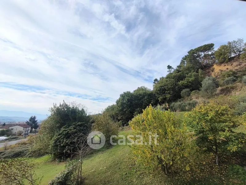 Jardin - Independent House with Garden in Terranuova Bracciolini