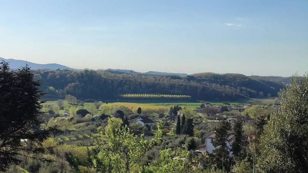 Jardin - Luxury Villa with Panoramic Views in Crespina Lorenzana