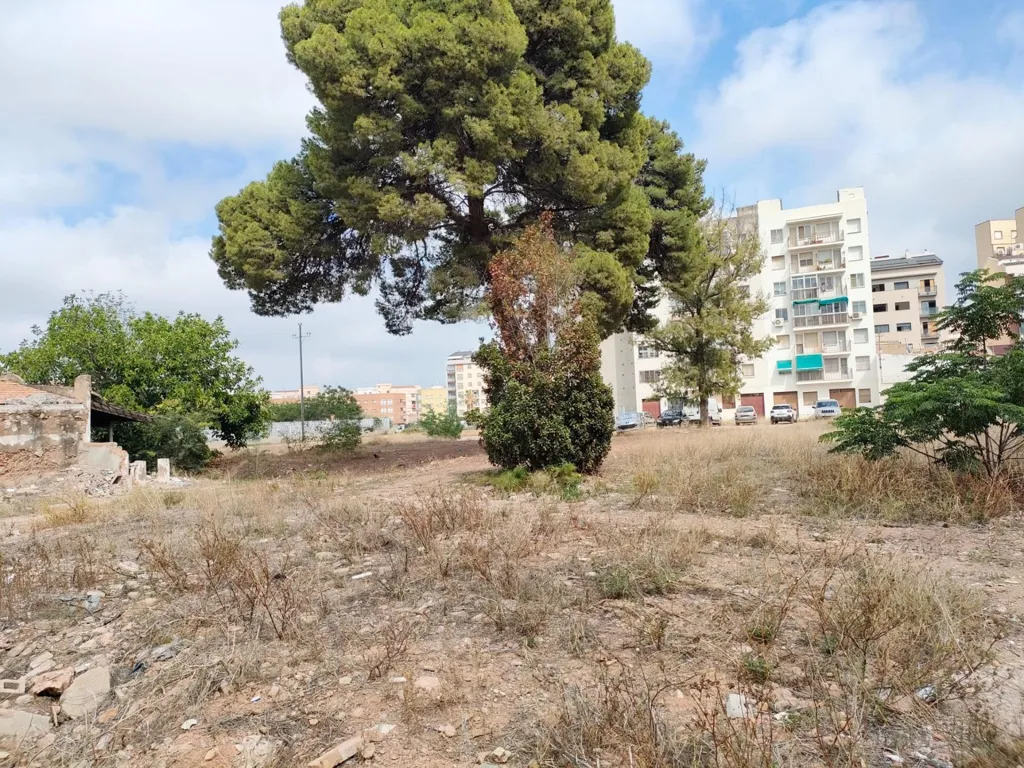 Terrain à Castelló-Castellón de la Plana (Capital)