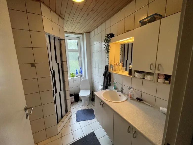 Vannitoad - Loft-Style Apartment with Garden in Hobro