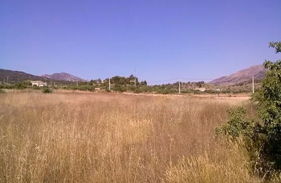 Giardino - Land Parcel in Romana, Alicante