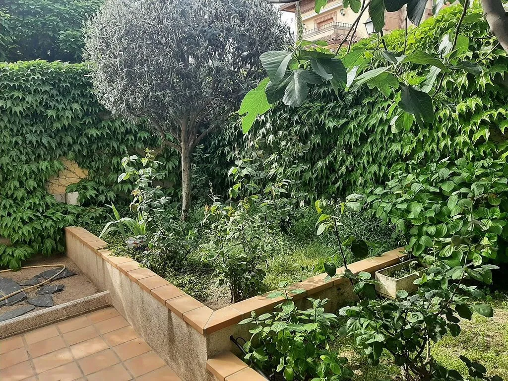 Jardin - Chalet with Pool in Navas del Rey