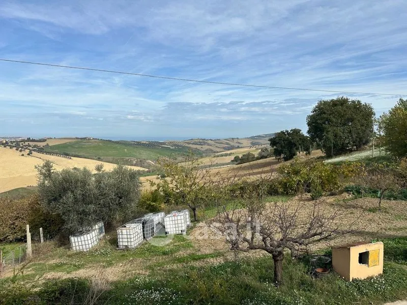 Jardin - Operational Farmhouse with Olive Grove in Atri
