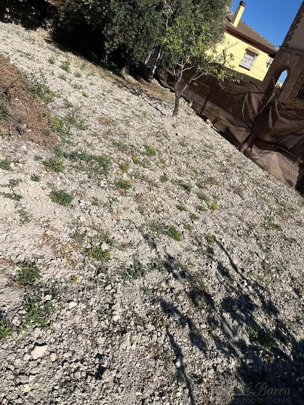 Aed - Plot for Development in Rute