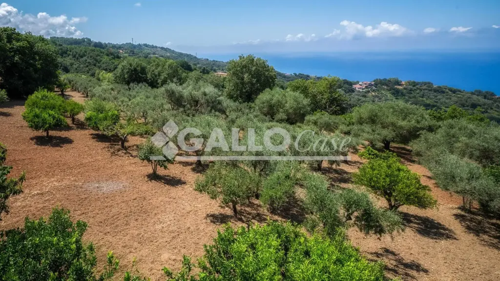Aed - Villa with Sea View in Diamante