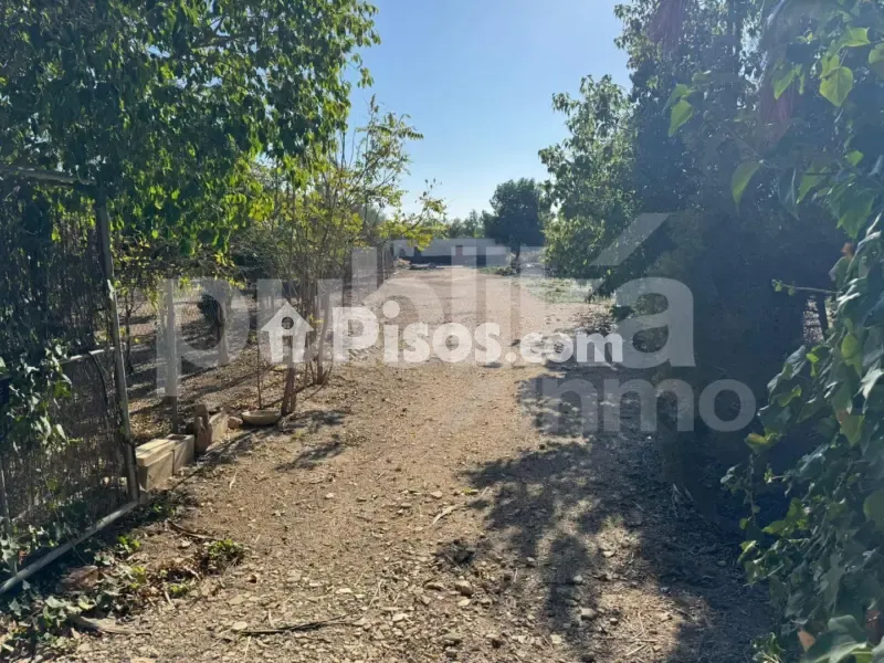 Jardin - Historic Villa with Archaeological Setting in Elche