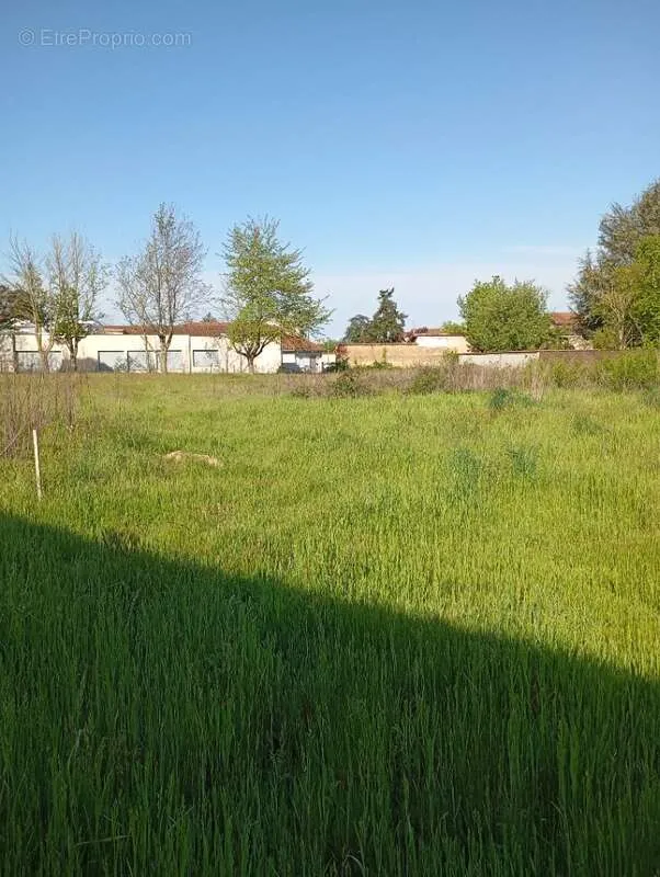 Jardin - Terrain Viabilisé au Calme à Marcilloles