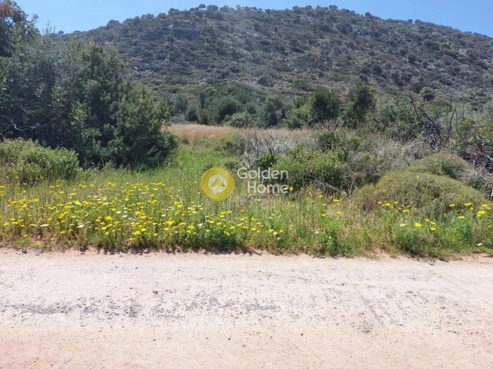Aed - Plot with Sea View in Stalida, Malia