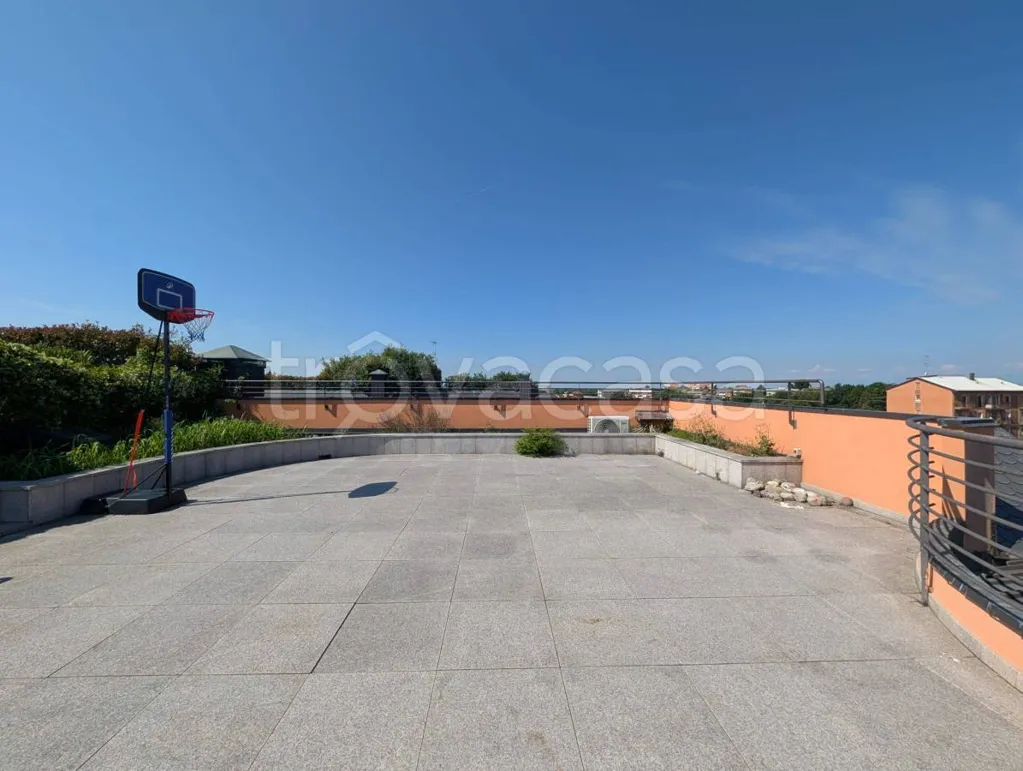 terrace_patio