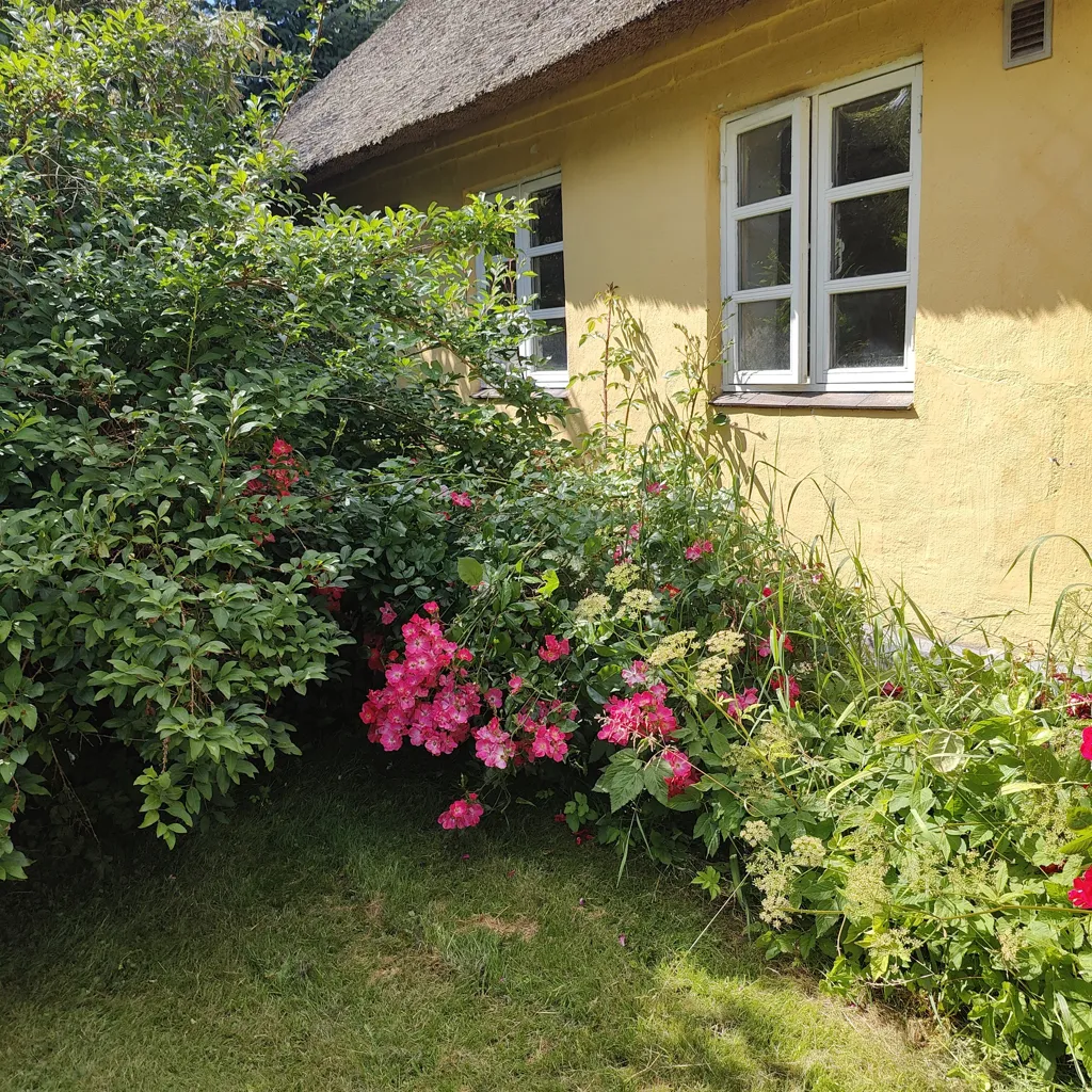 Jardin - Handcrafted Cottage with Unique Garden in Kielstrup
