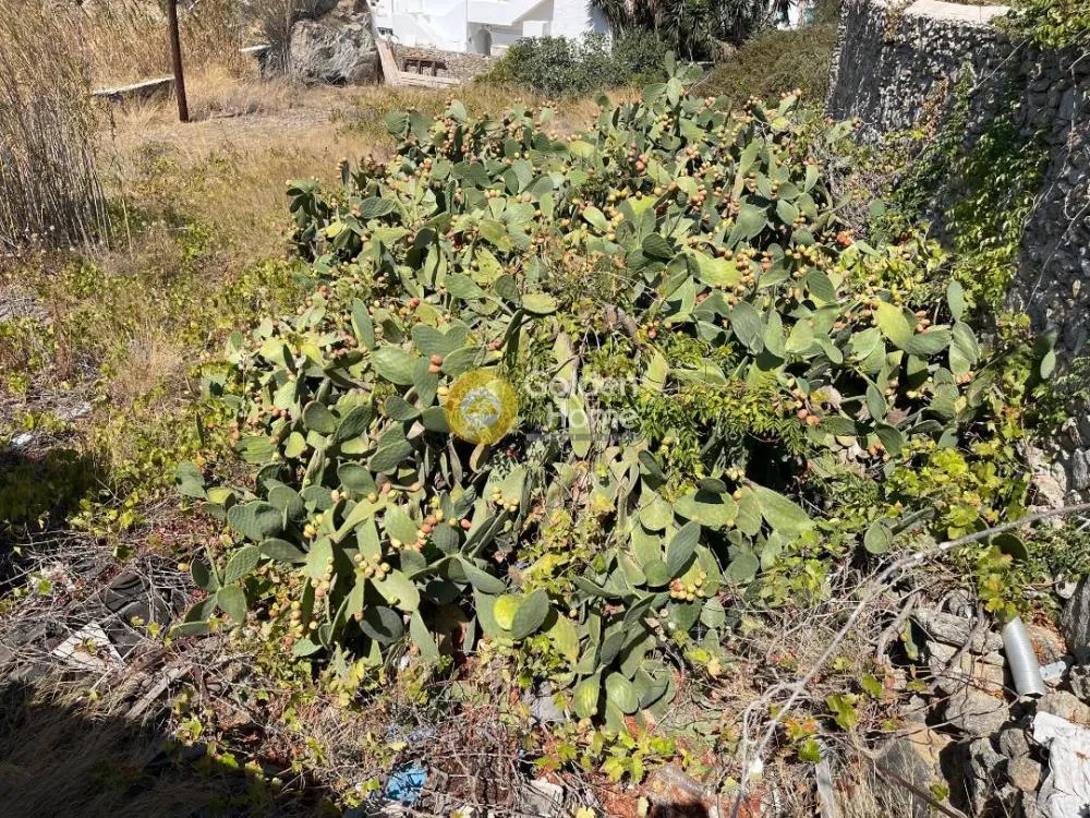 Jardin - Commercial Plot with Sea View in Mykonos - Chora