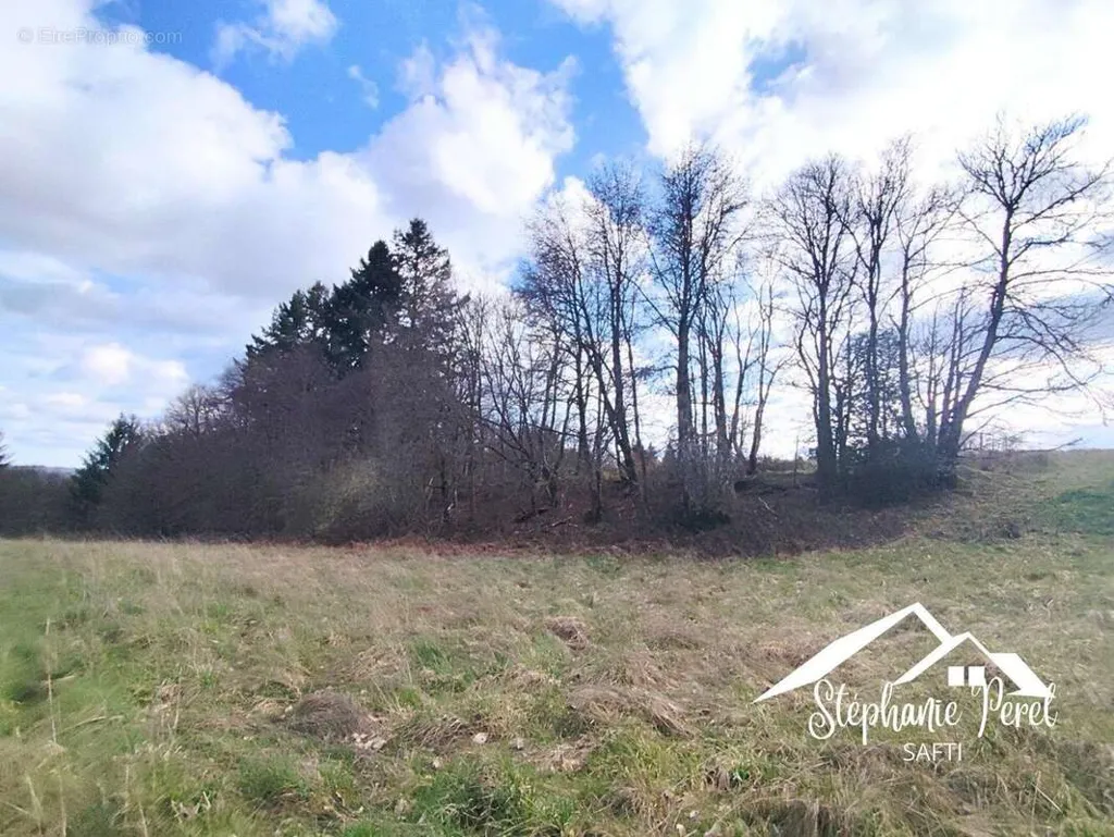 Jardin - Terrain Agricole à Meymac pour Projet Rural