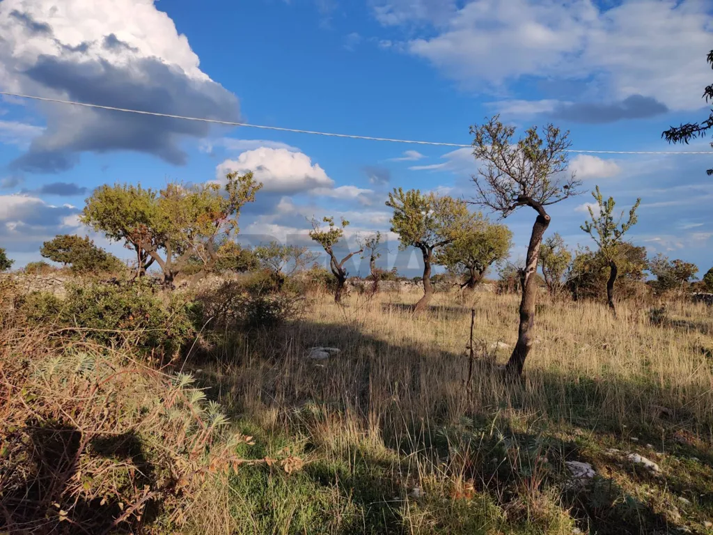 Jardin - 10,200 sqm Plot in Contrada San Salvatore