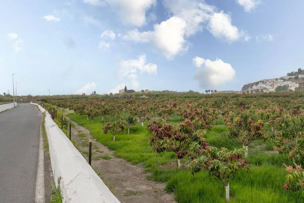 Development Land with Sea View in Salobreña