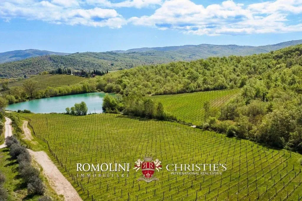 Jardin - Vineyard Estate with Chianti DOCG in Bucine