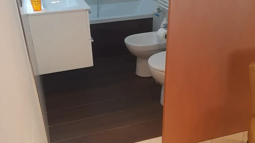 Bathrooms - Modernised Apartment with Balconies in Loano