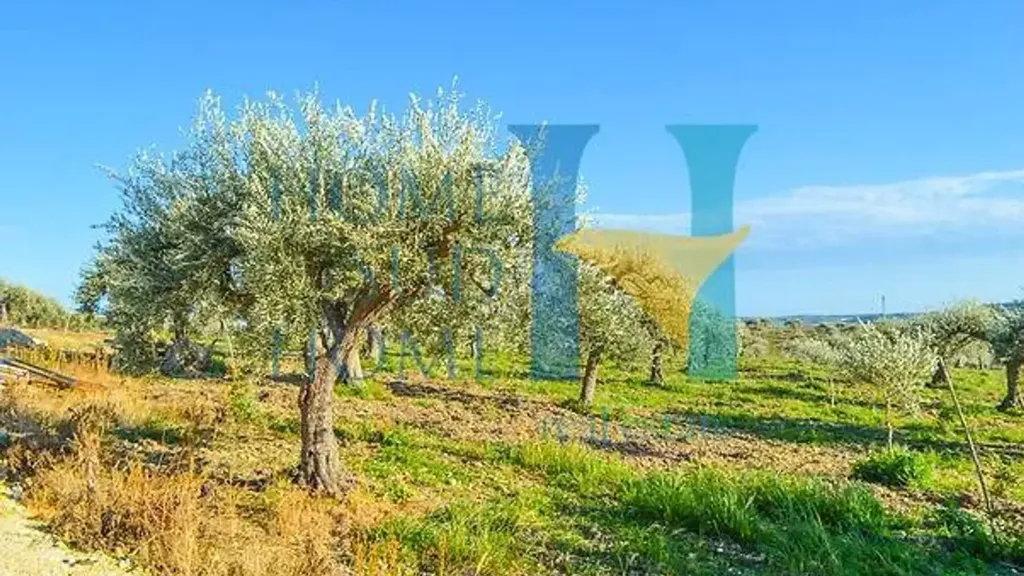 Garden - Villa with Olive Grove in Noto