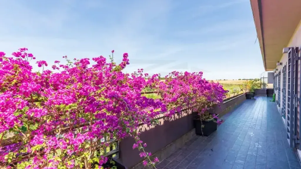 Balcon - Panoramic Penthouse with Large Terrace in Vigna Clara, Rome