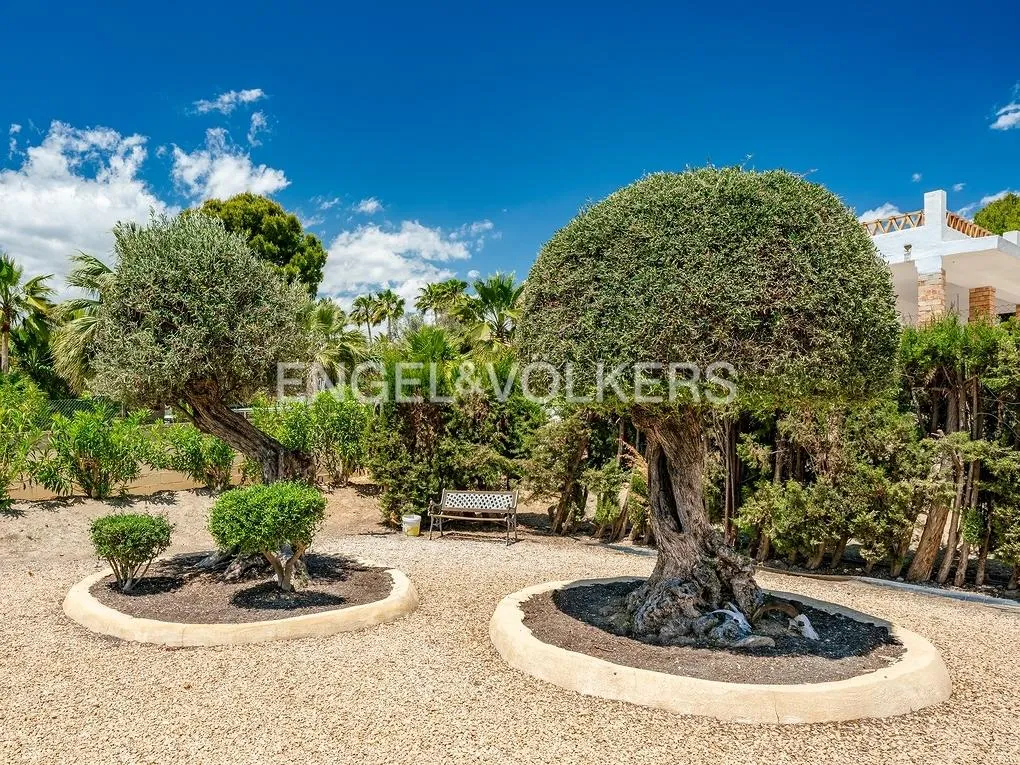 Giardino - Finca Villa with Pool in Altea