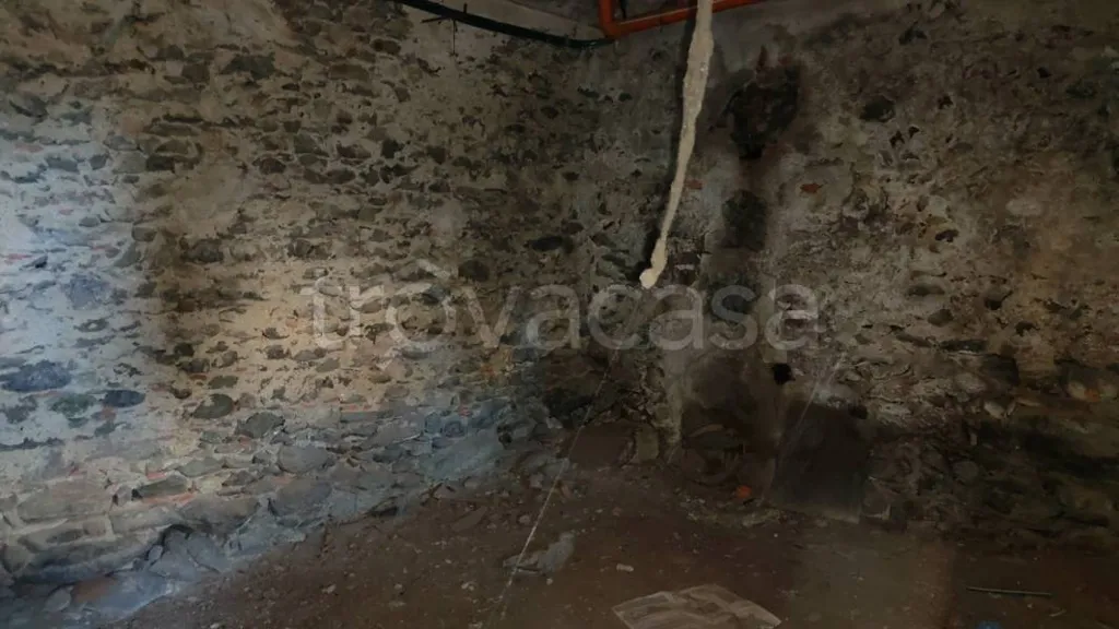 Toad - Rustic Cottage for Renovation in Caprie