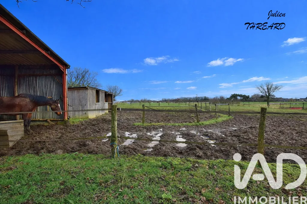 Garden - Charming Longère with Equestrian Facilities in Manthelan