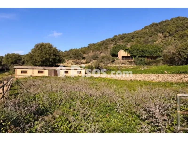 Extérieur - Historic Mallorcan Estate with Panoramic Views, Manacor