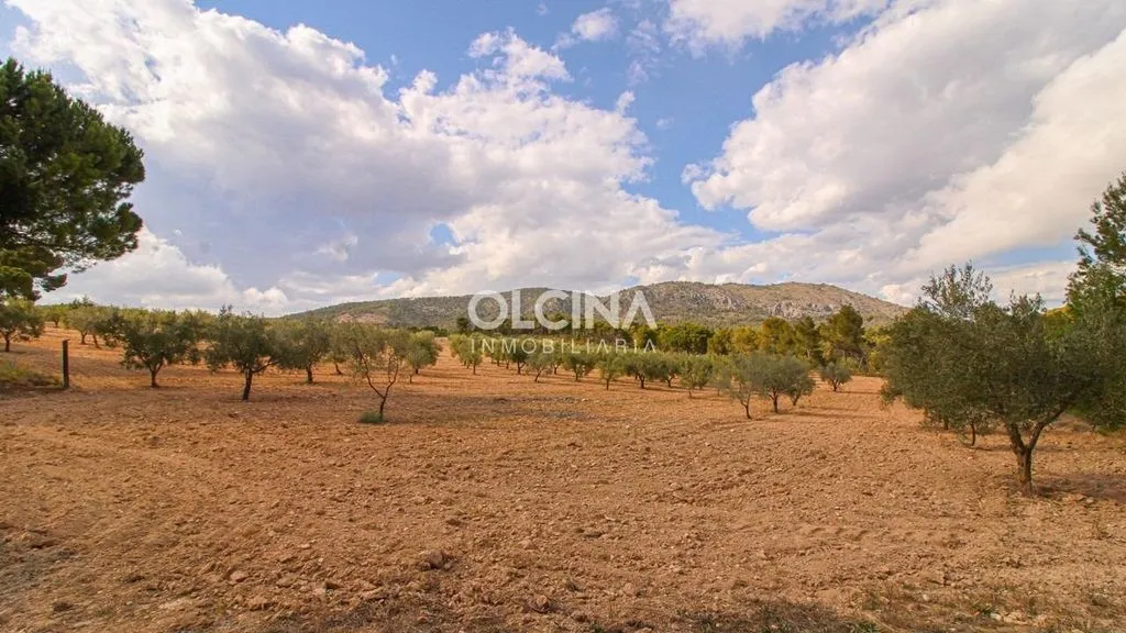Jardin - Exclusive Farmhouse in Ibi with Natural Setting