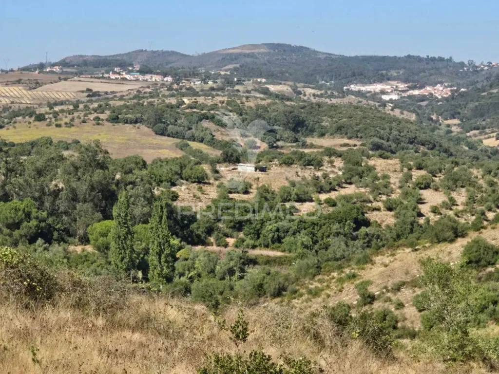 Jardin - Rustic Land with Approved Project in Mafra