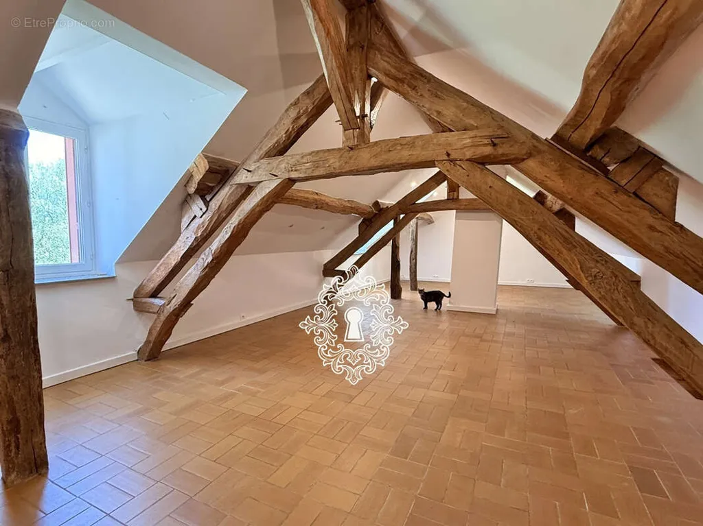 Stanze - Briarde Property with Garden in Yonne