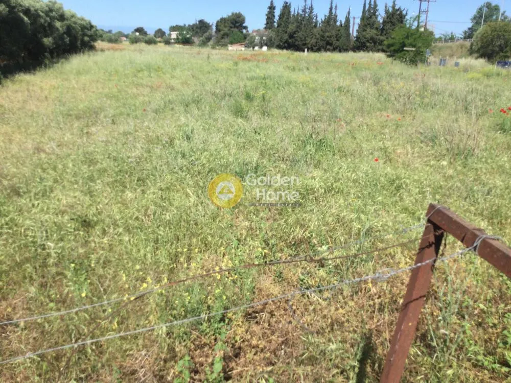 Aed - Plot for Villa with Olive Trees in Thermi Centre