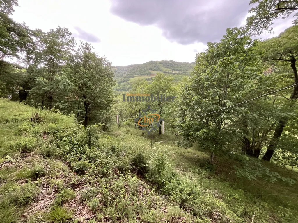 Garden - Leisure Plot with Mobilhome in Plaisance
