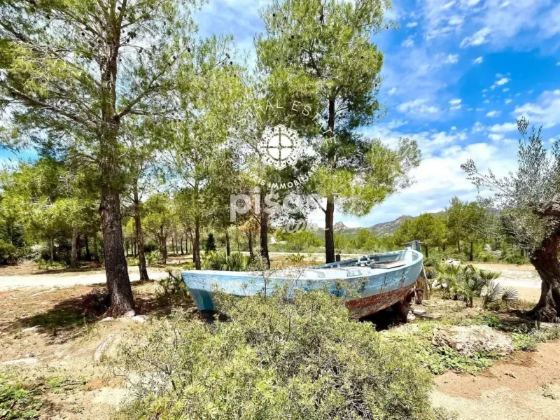 Jardin - Luxury Villa with Private Pool in Costa Dorada