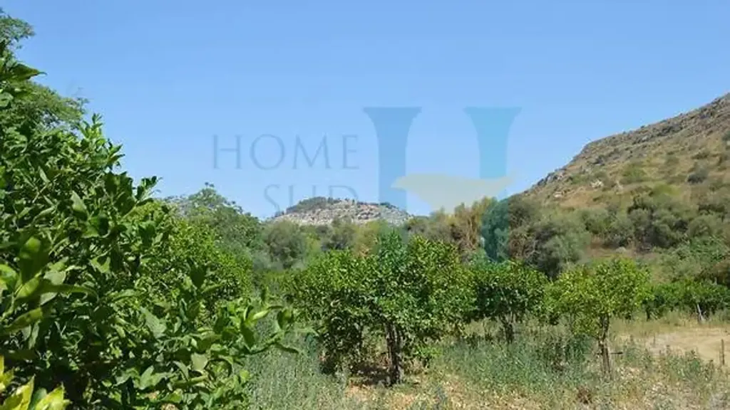 Jardin - Historic House with Olive Grove in Noto