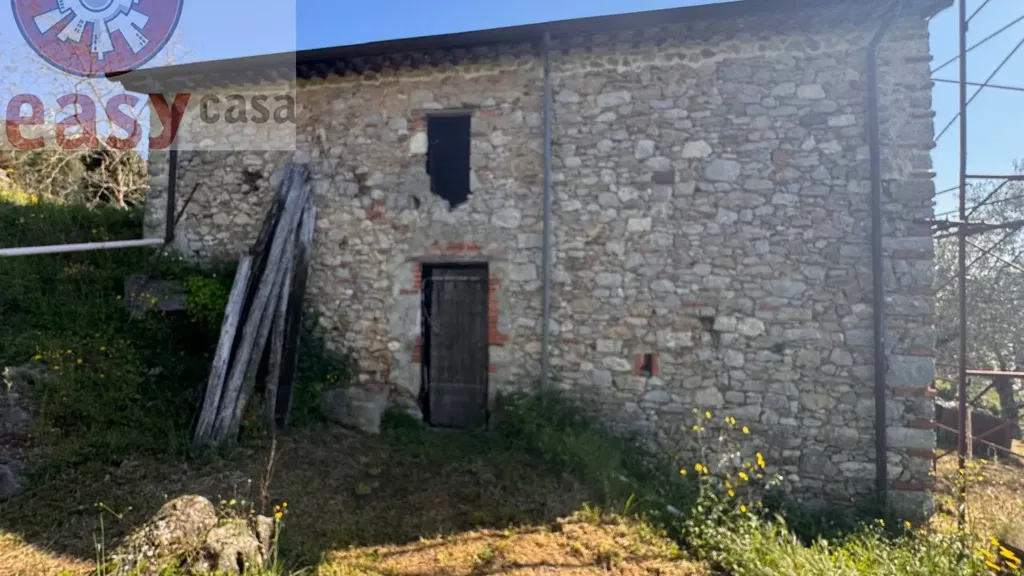 Extérieur - Rustic Property with Olive Grove in Lucca