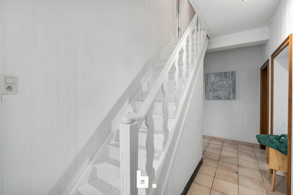 Toad - Open Plan House with Garden in Meerbeke
