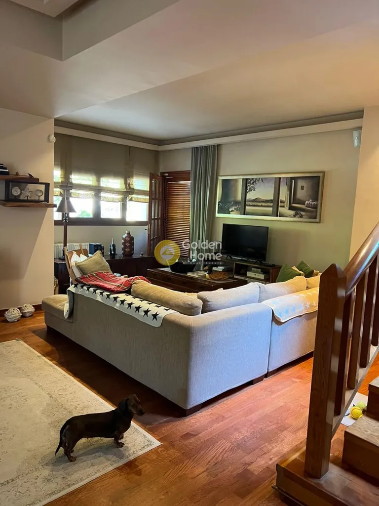 Séjour - Luxury Villa with Garden in Nea Penteli