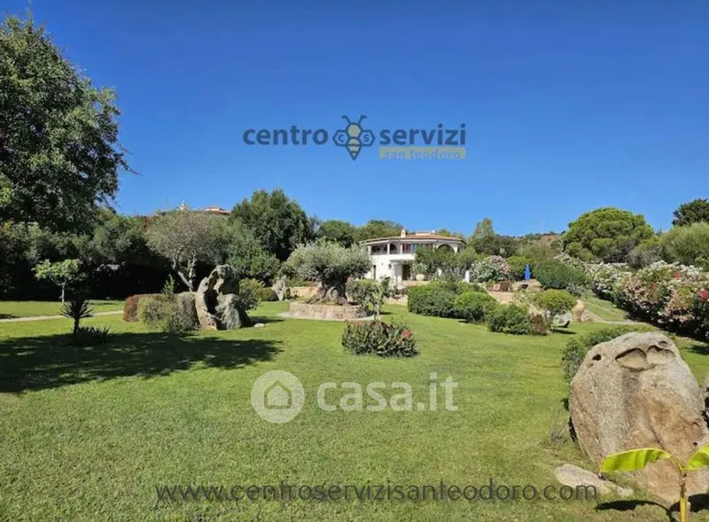 Jardin - Villa with Sea View and Pool in San Teodoro
