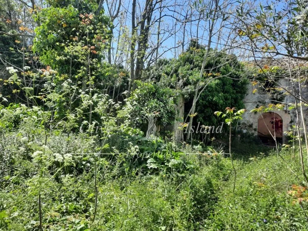 Jardin - 18th Century Manor for Restoration in Binissalem