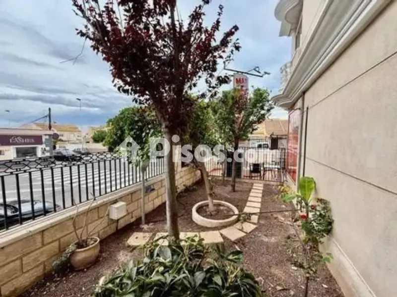Garden - 2-Bed Apartment with Terrace in Torrevieja