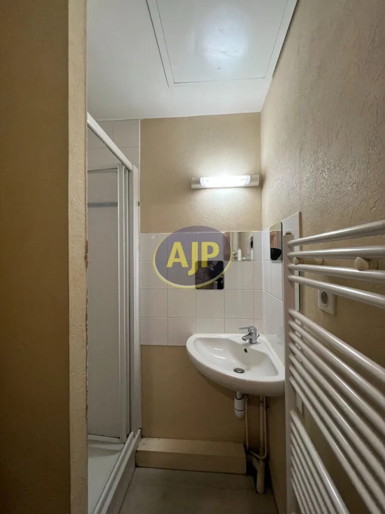 Salles de bain - Appartement Duplex au Calme près de Jules Verne à Nantes