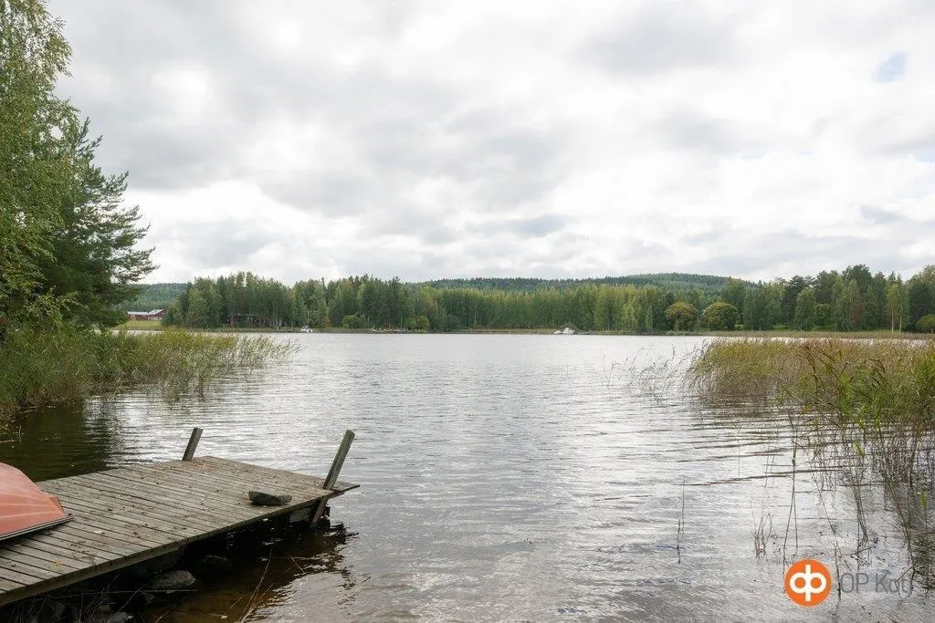 Jardin - Cottage with Private Beach in Päijänne Area