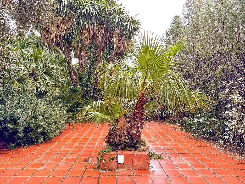 garden