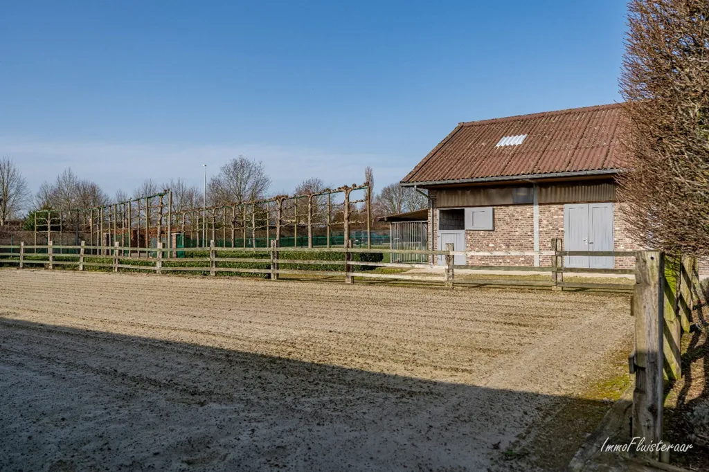 Extérieur - Maison avec Écuries et Piste Extérieure à Bree